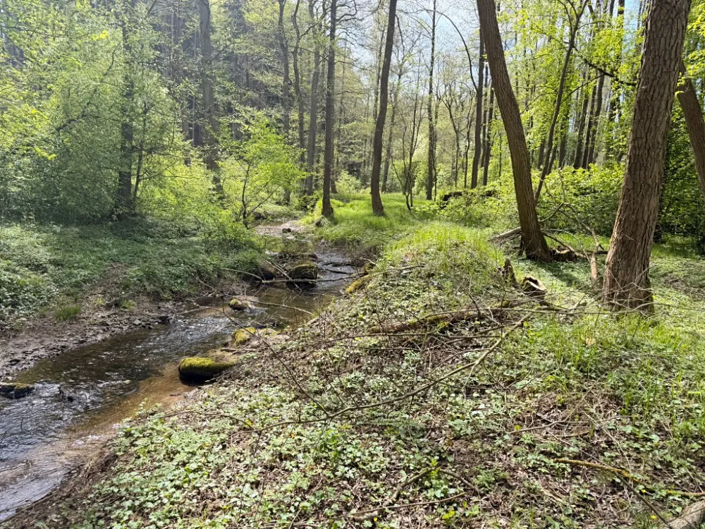 Fotka 10 z 11